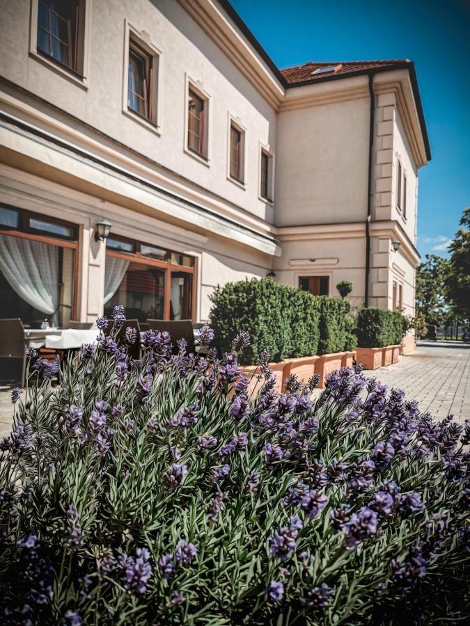 Restaurant Pansion Wien Cierny Brod Ngoại thất bức ảnh