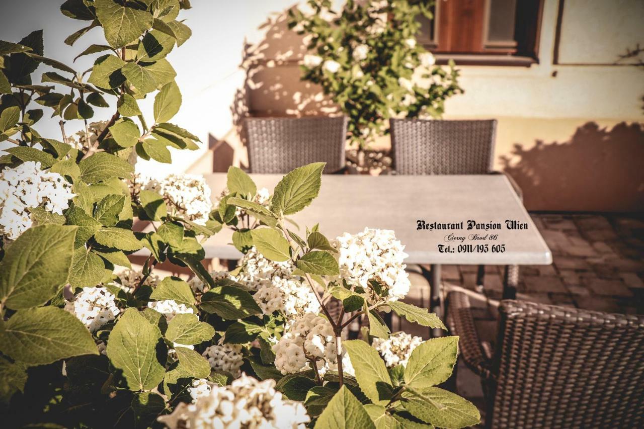 Restaurant Pansion Wien Cierny Brod Ngoại thất bức ảnh